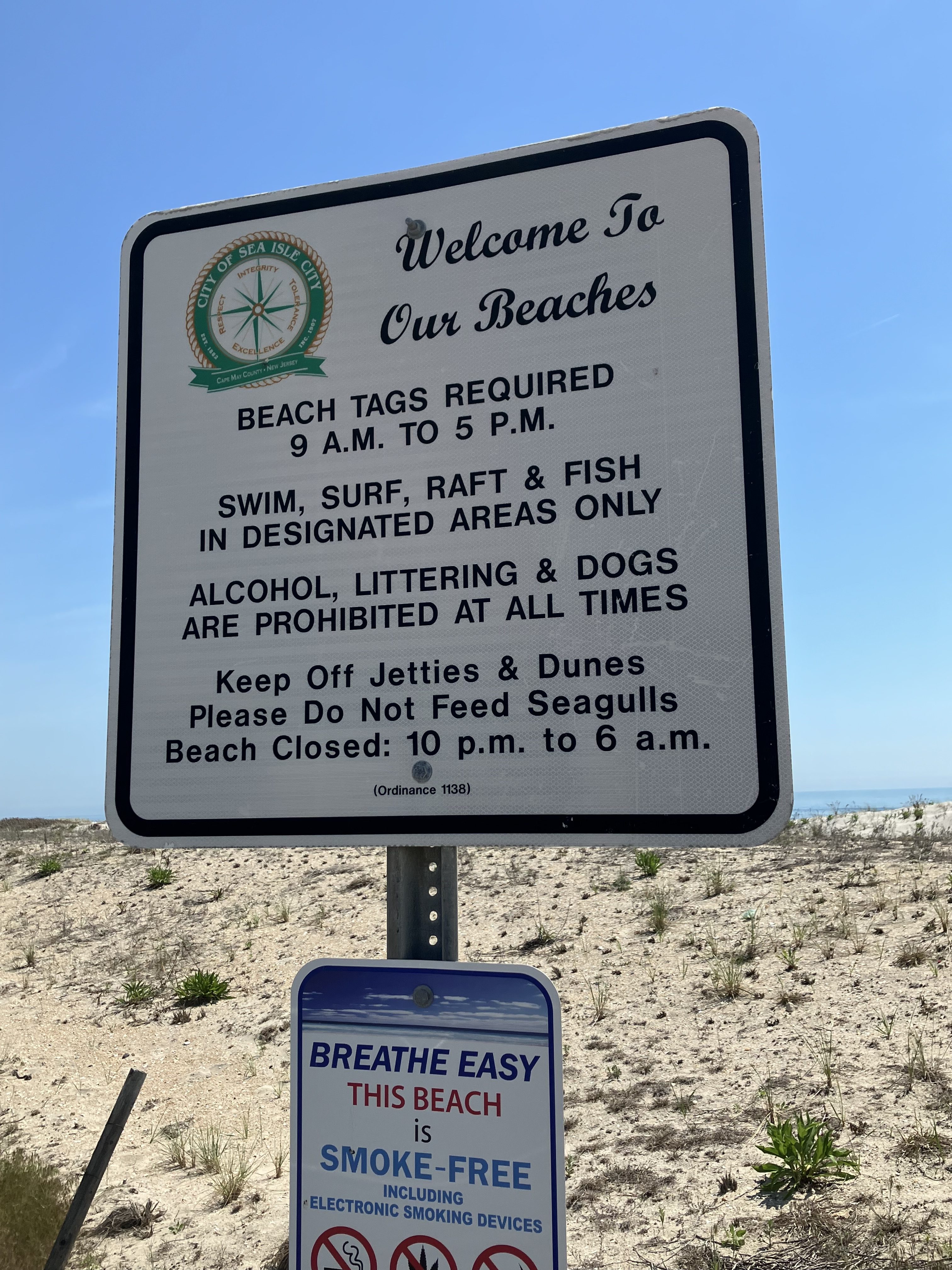 Pro Tips and Friction Hacks from a Beach Tag Inspector