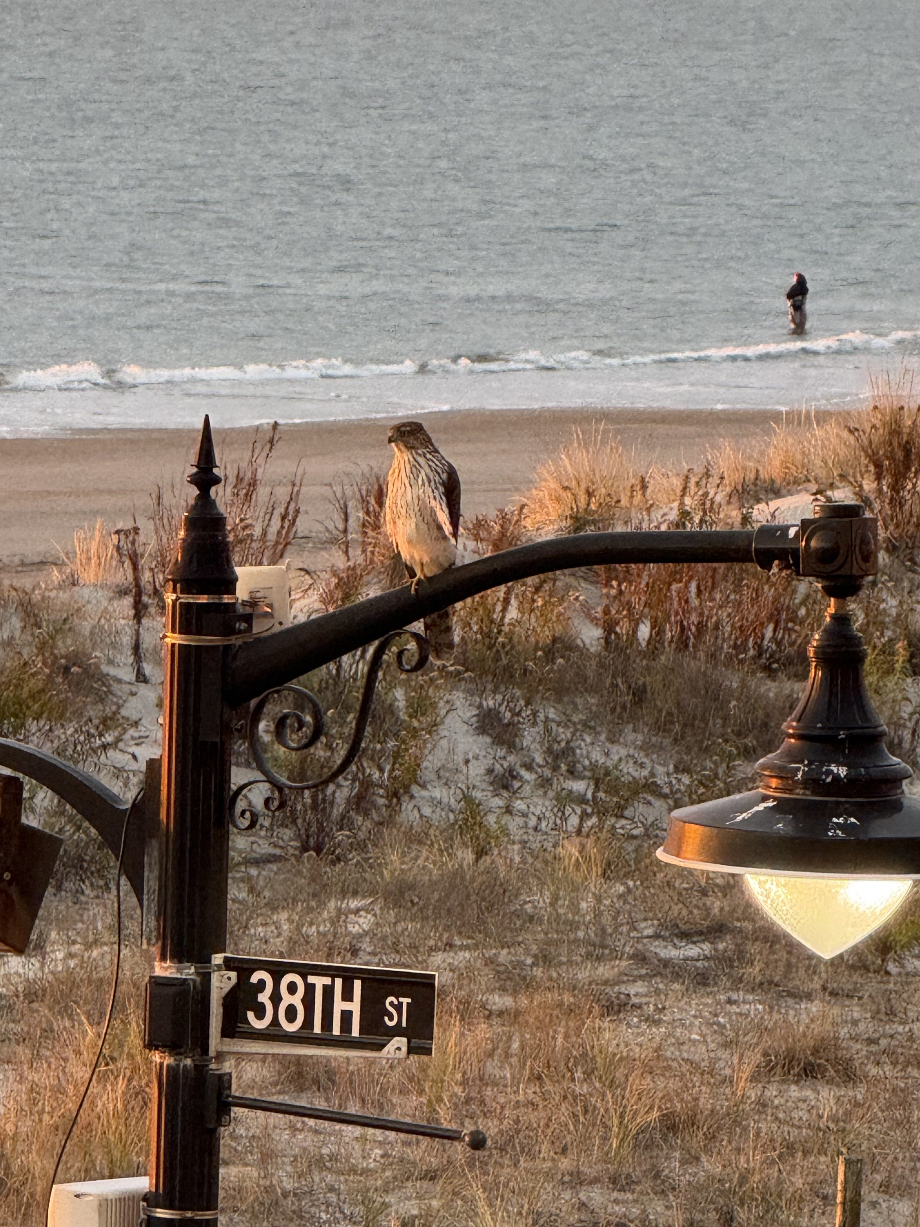 Sea Isle Promenade Lights Raise a Different Kind of Concern After Dark